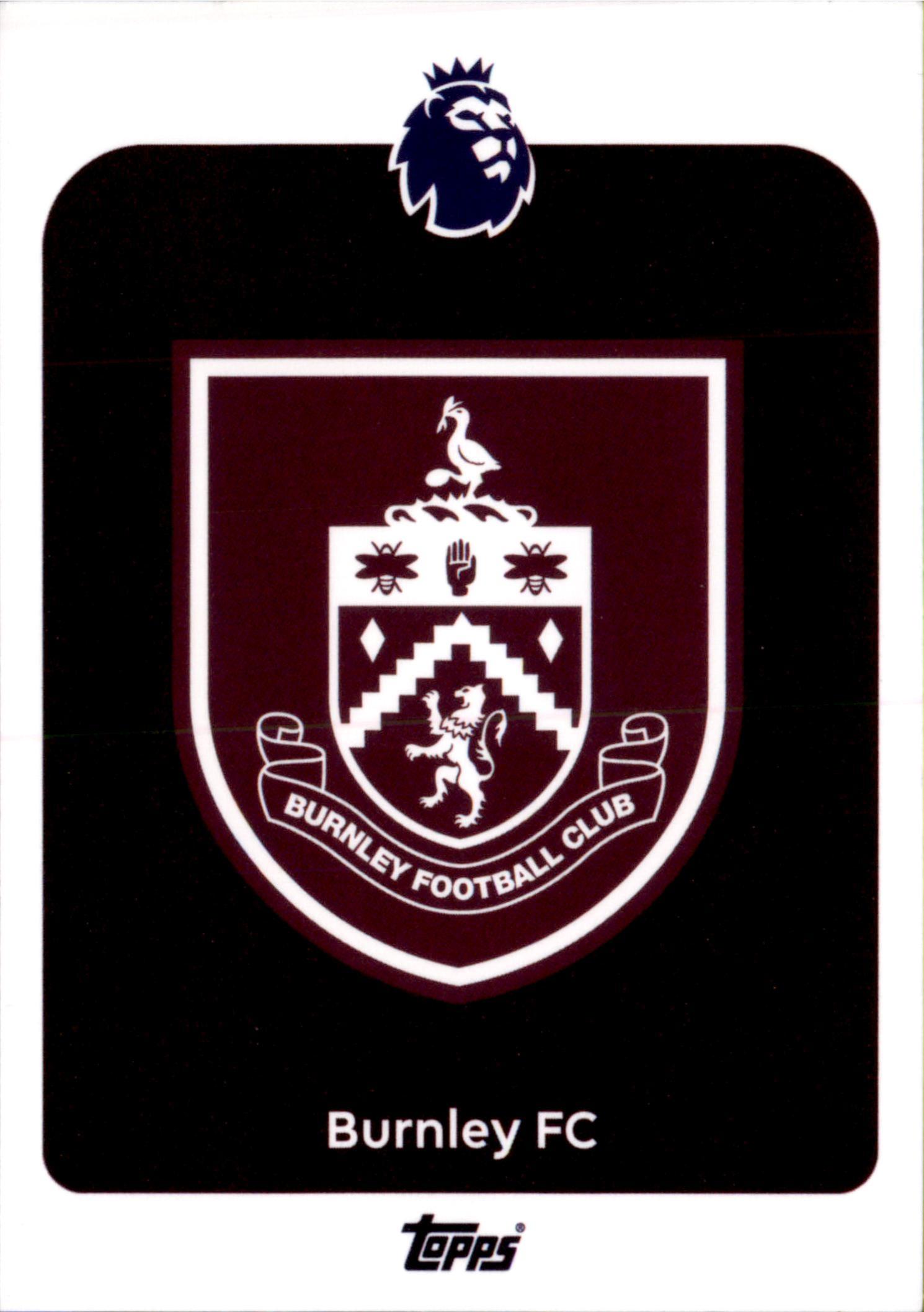 Team Badge #307 – Topps Premier League 2025/26